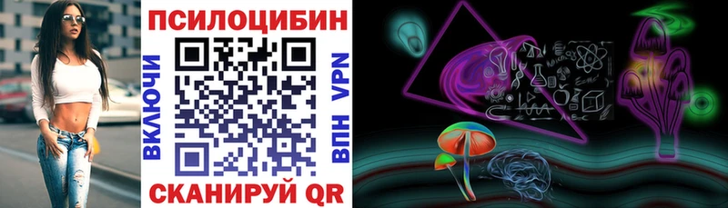 Псилоцибиновые грибы Psilocybine cubensis  где купить наркоту  Порхов 