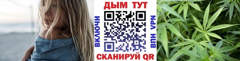 omg сайт  наркошоп  Порхов  Каннабис план 